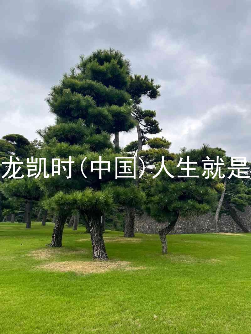 尊龙凯时(中国)人生就是搏