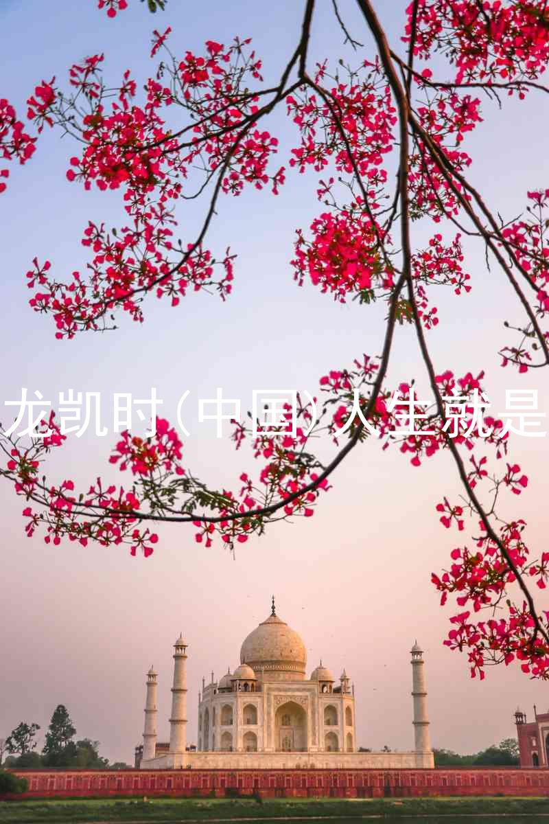 尊龙凯时(中国)人生就是搏