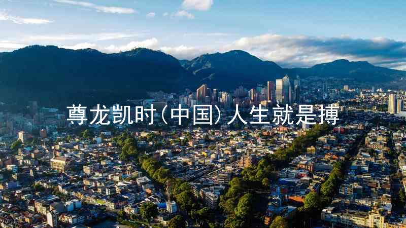 尊龙凯时(中国)人生就是搏